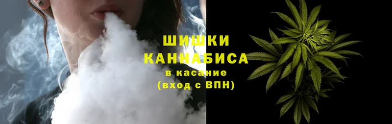 где купить наркоту  Новокубанск  Каннабис White Widow 